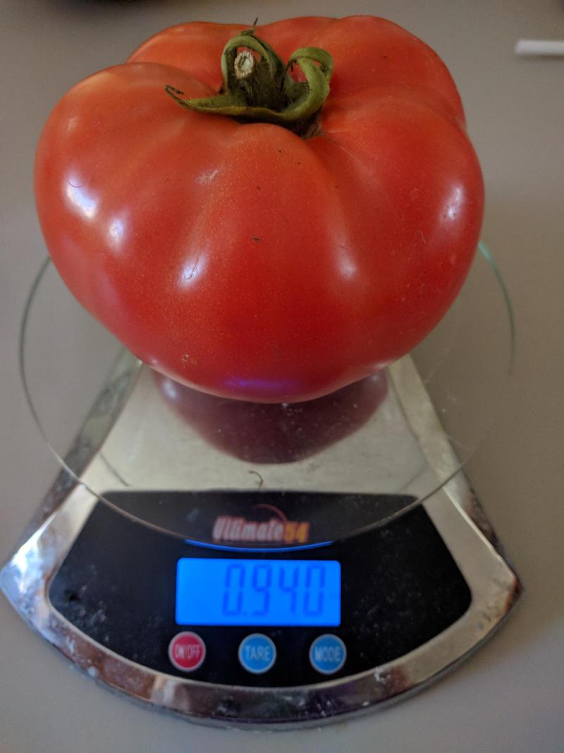 a large red tomato on a kitchen scale