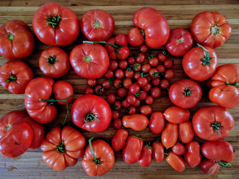 red tomatoes of all sizes on a wooden cutting board