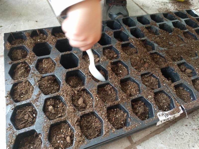 seed starting tray being filled with dirt by a child's hand holding a plastic spoon