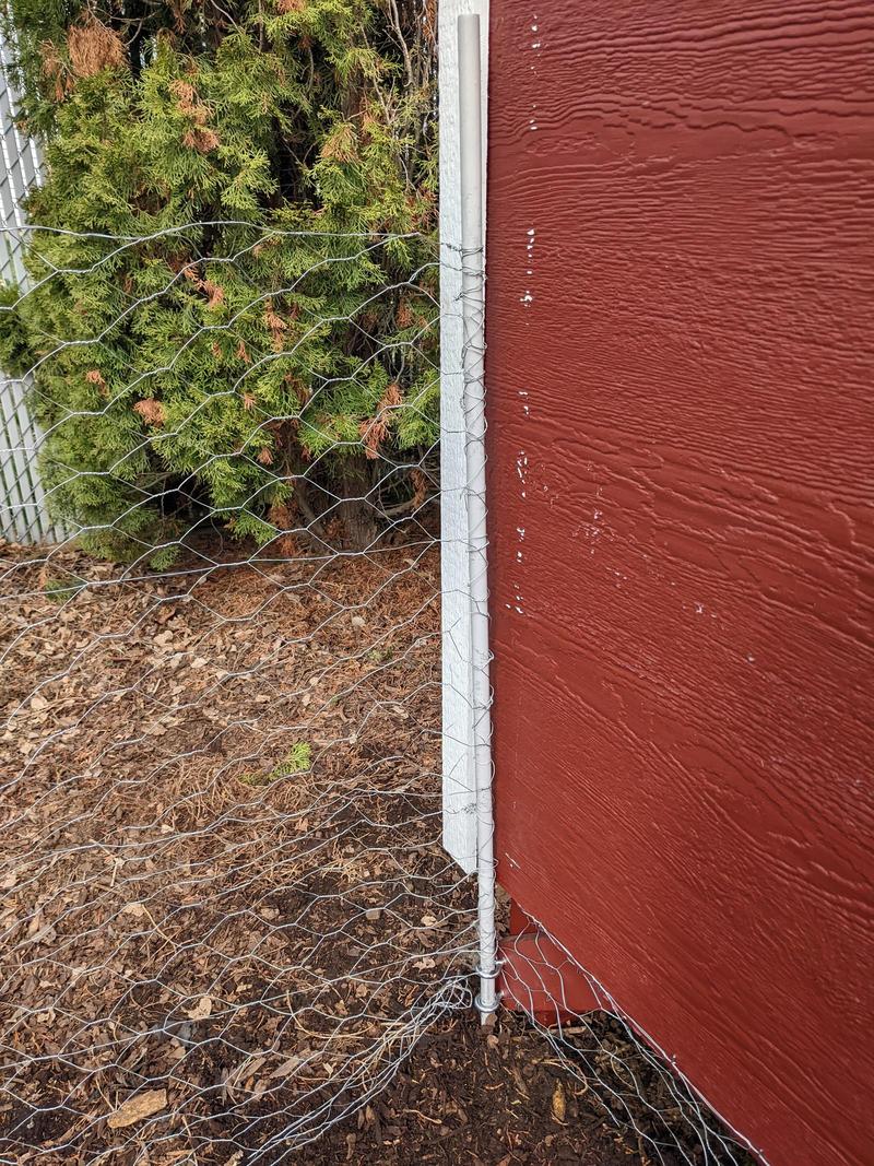 Poultry netting attached to a dowel, stuck in eyehooks on the side of a chicken coop as a gate
