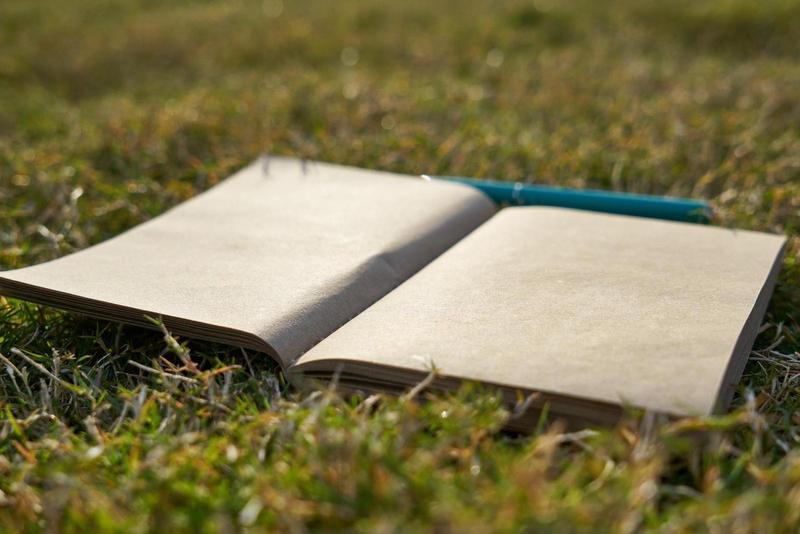 notebook laying open in the grass with a pen above it