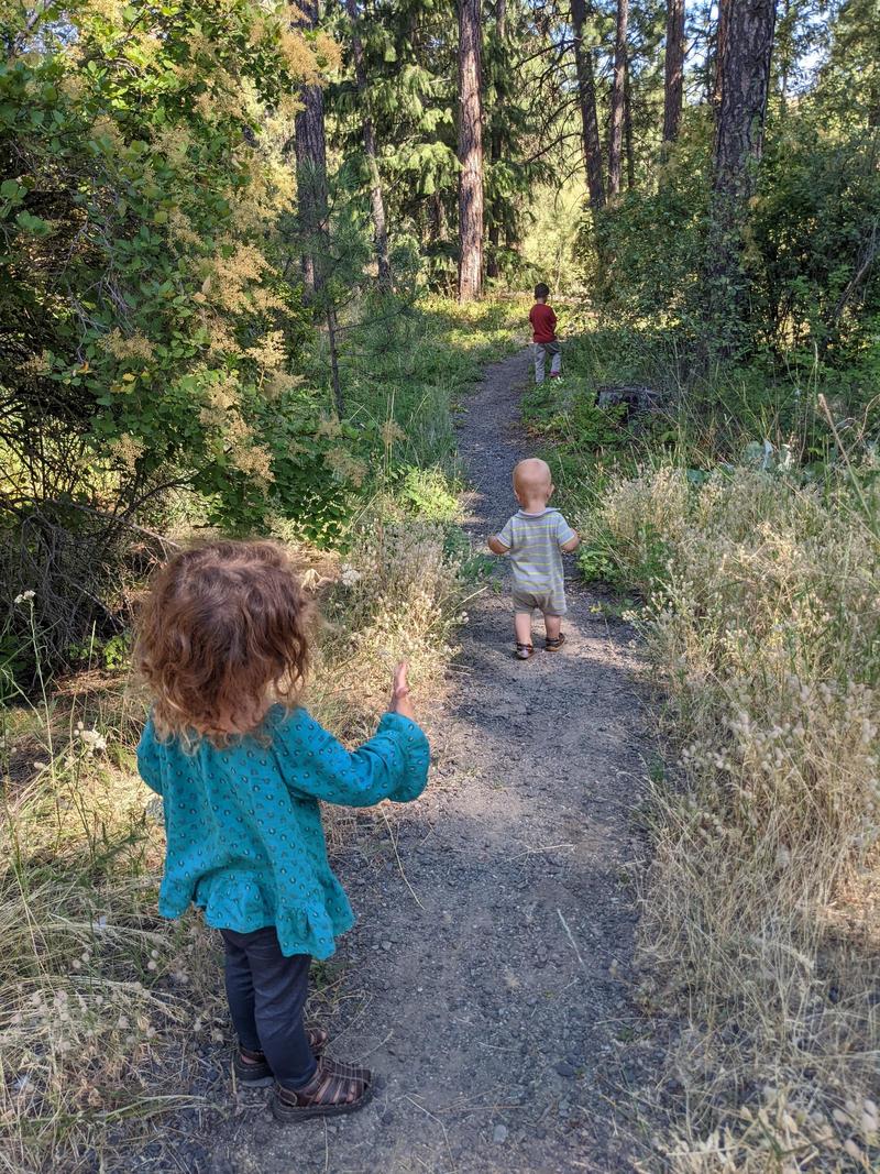 three kids walking single file along a dirt trail through grassy pine forest