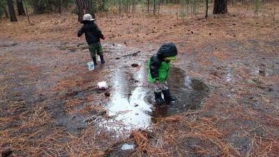 two kids stomping in a big muddy puddle filled with pine needles in a pine forest