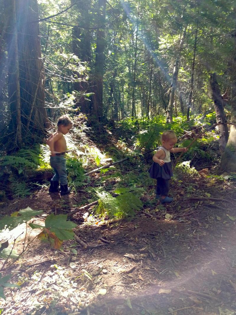 two kids carrying sticks and exploring a pine forest with ferns
